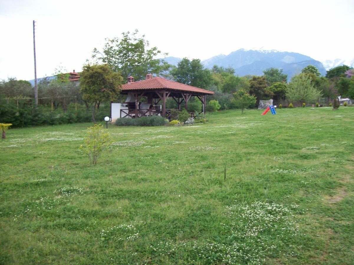 Casa Consta Olympus Villa Litóchoron Buitenkant foto