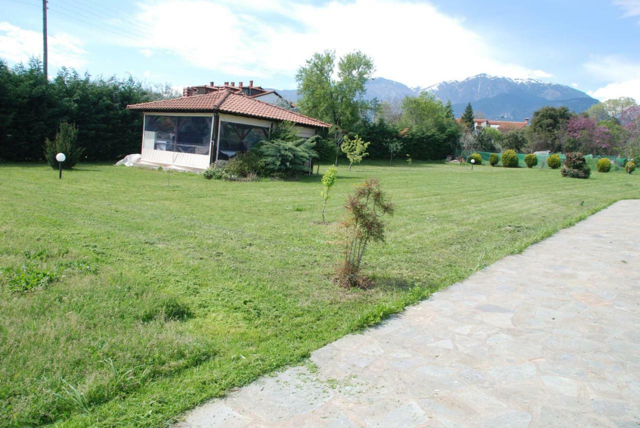 Casa Consta Olympus Villa Litóchoron Buitenkant foto