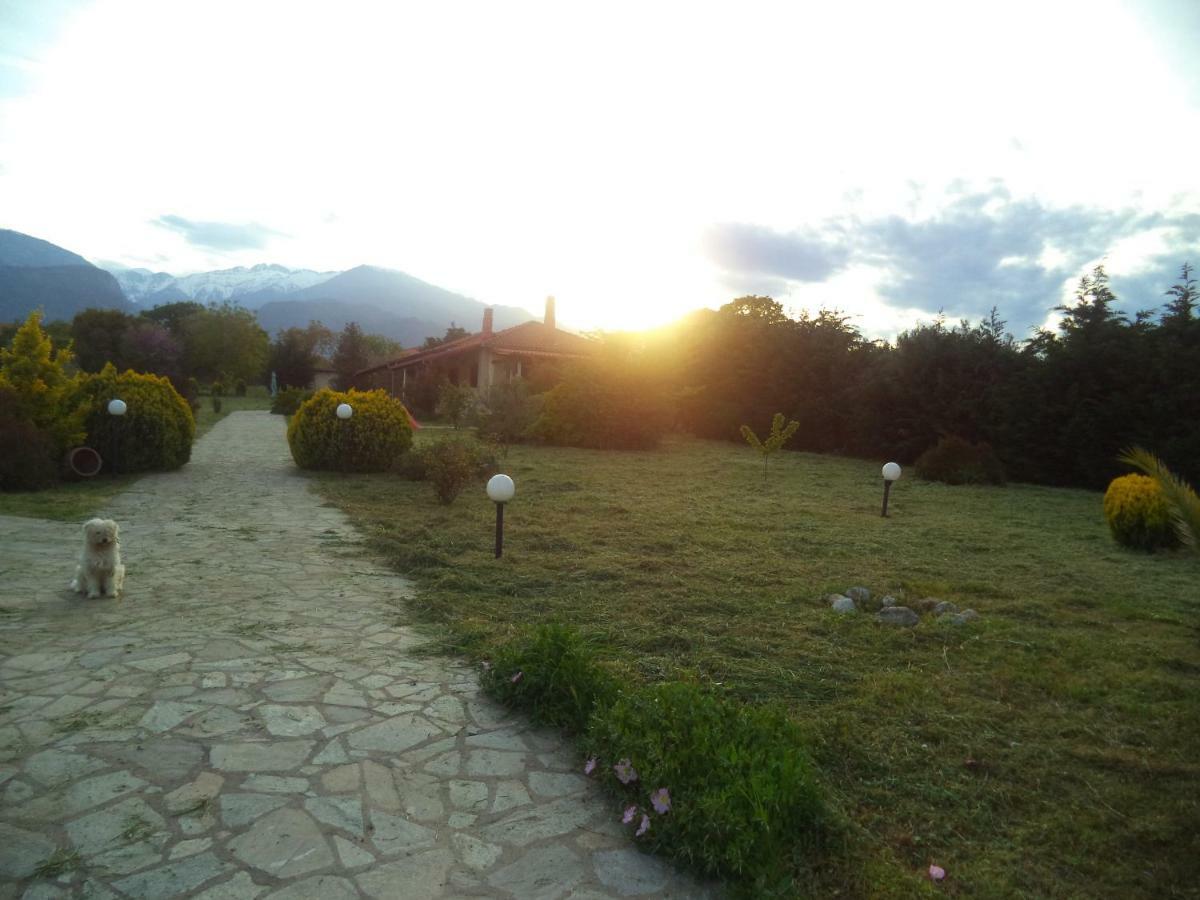 Casa Consta Olympus Villa Litóchoron Buitenkant foto